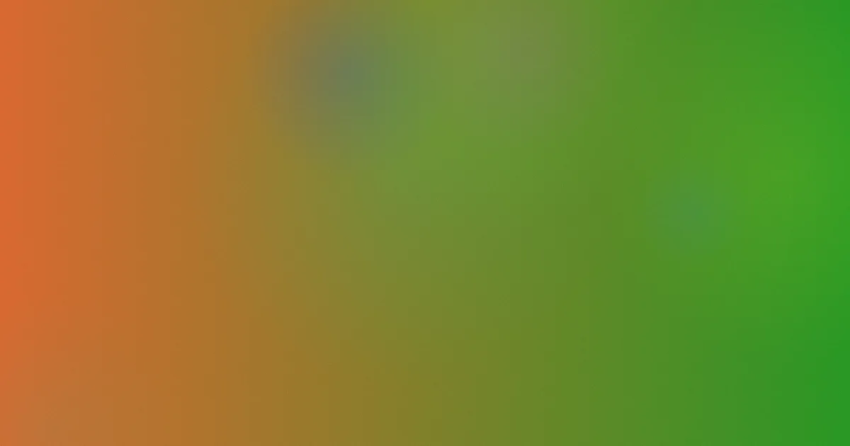 画画视频测评：避坑问答